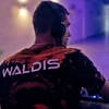 Waldis