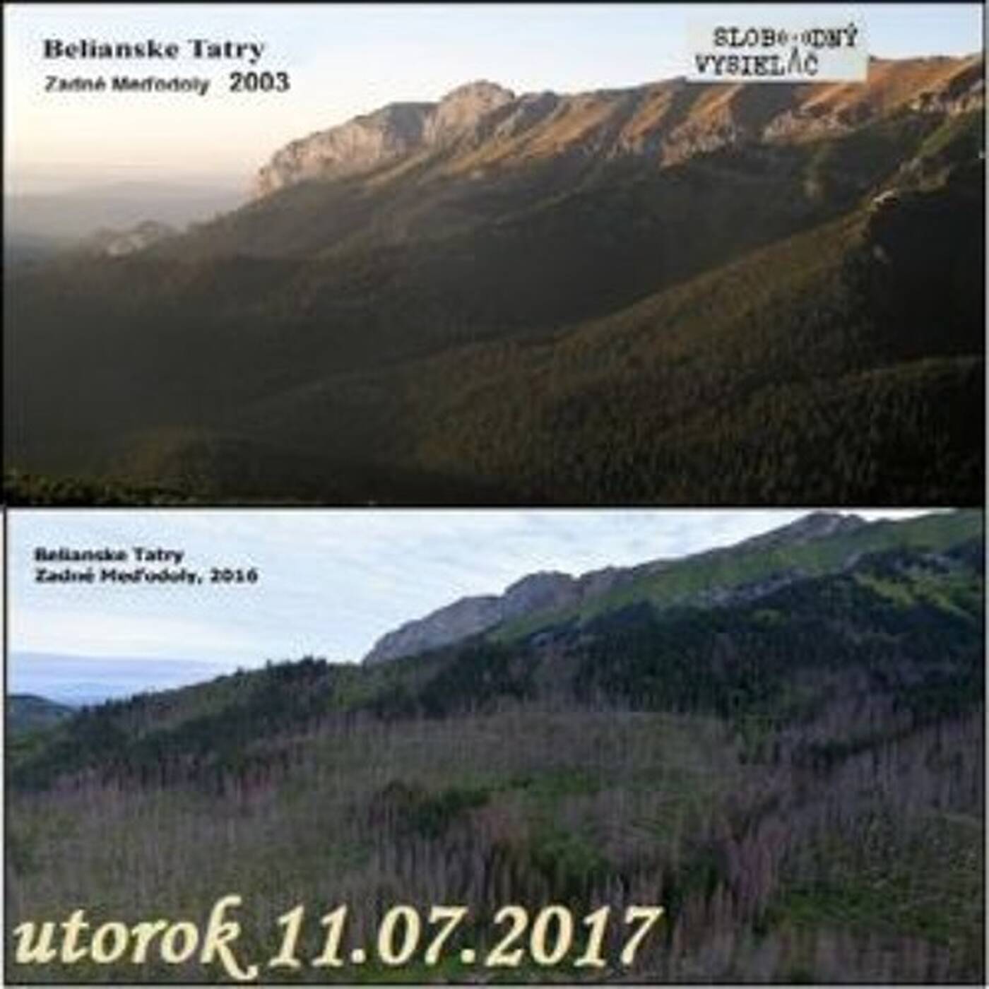 V prvej línii - 2017-07-11 Slovenské lesy v smrteľnom ohrození? episode artwork