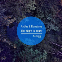 Andlee & Elanetique - The Night Is Yours EP TBR036 