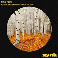 Albin - Sense (Hauy Remix) by Synk Records