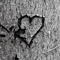 freundeskreis by dor.min