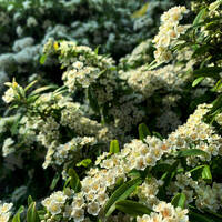 Ay Palas 22.04.2024 @ Acik Radyo by Ay Palas