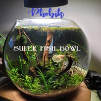 Phobik - Super Fish Bowl by Phobik DNB