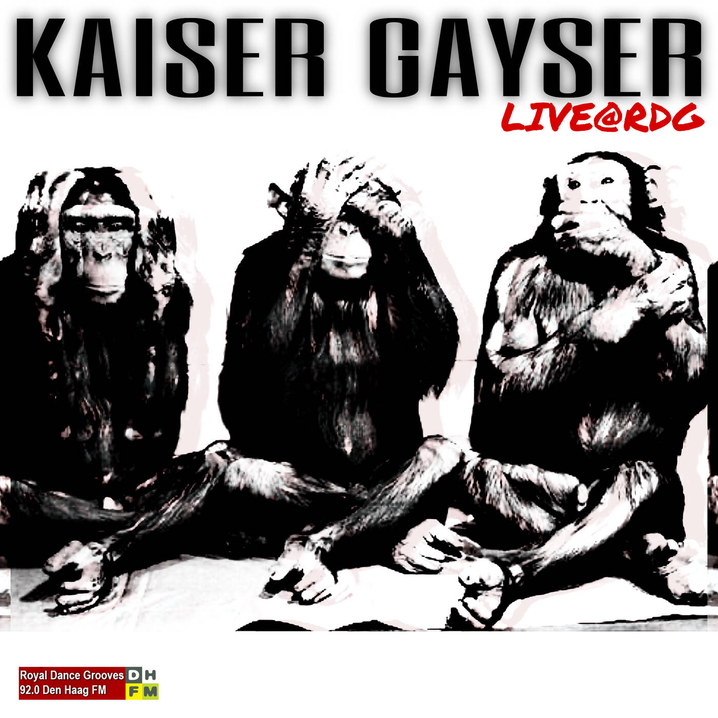 Progressive & Organic House Radio RDG / Den Haag FM 92.0 January 2023 episode artwork