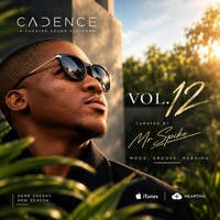 CADENCE [Vol.12] curated by Mr Spike by Mr Spike