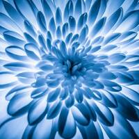 copernicus - deephouse mix2 by copernicus