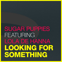 Looking for Something (Radio Edit) by Sugar Puppies