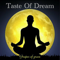 Taste of Dream - Follow me by Andrea Soru aka TASTE OF DREAM