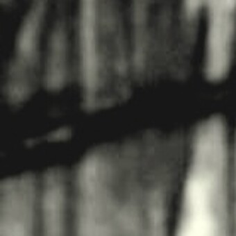 PANTYHOESGVNG RAP CAMP