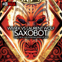 Wiwek Vs Laurent Wolf - Saxobot (Luke DB &amp; Luis Rondina Mash Up Mix) by Luke DB