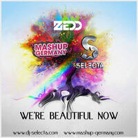 Mashup-Germany &amp; Selecta - We're beautiful now (Extended Edit) by mashupgermany