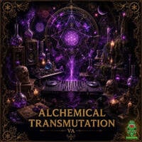 08 - OSCILLOTH - MANTRIC SHARDS (220 BPM) - V.A. ALCHEMICAL TRANSMUTATION (DEMESNE RECORDS) by Oscilloth