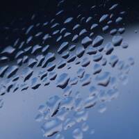 Unicorn's Breath by Deer in the Garden