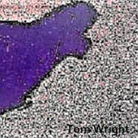 Tom Wright - `Ring, Little Beat`#1 by Tom Wright