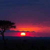 2018 - Savanna Beats (The African Disco Edition)