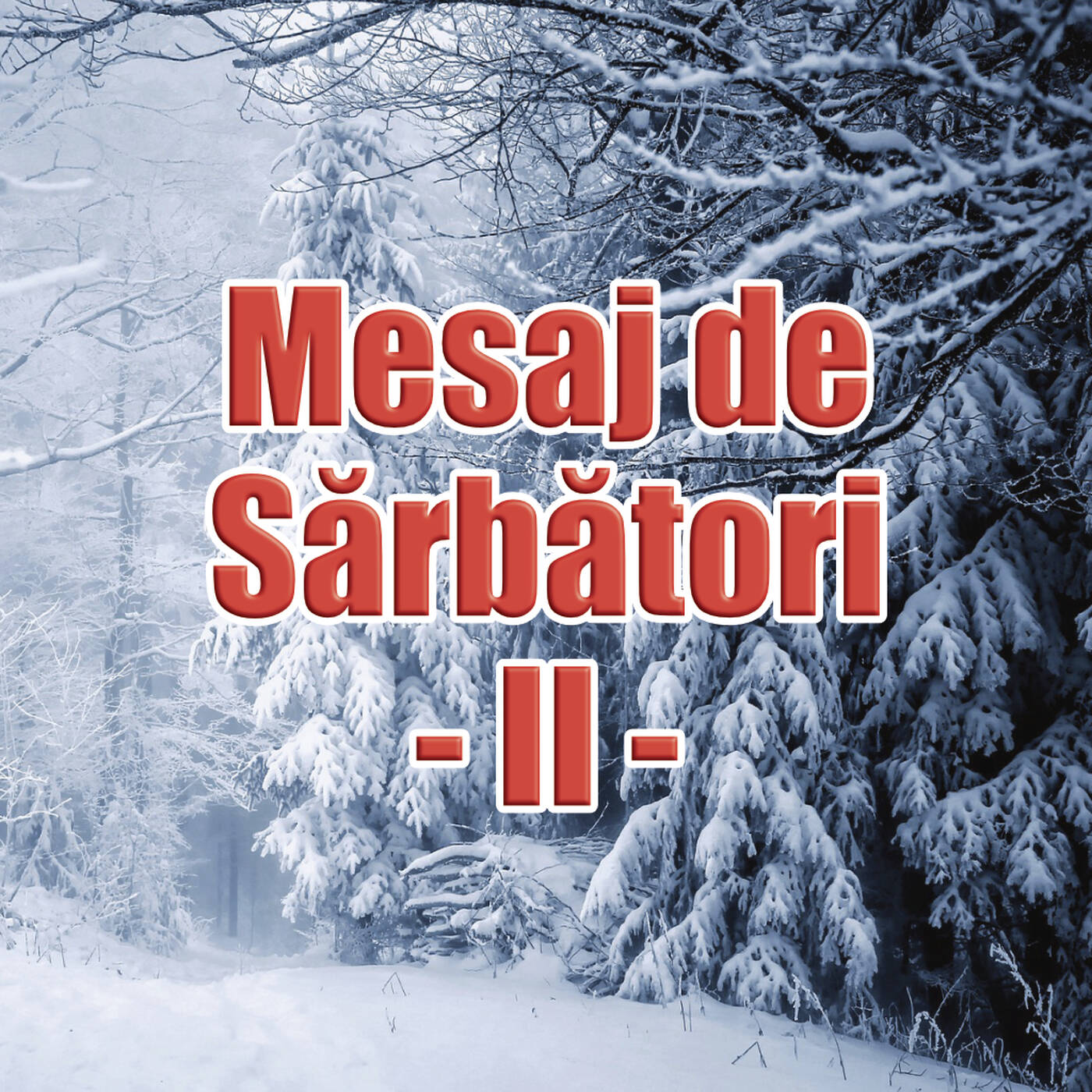 Mesaj de Crăciun - II episode artwork