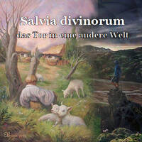 KlarTraum - Salvia-Bibel 3 - Das Tor in eine andere Welt by Kess Zerogravity