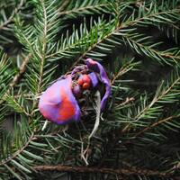 23. simbols | Silīte | 24.12.2018. by Radio Marija Latvija