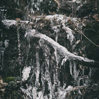 Spring dripping by Notes on Sound