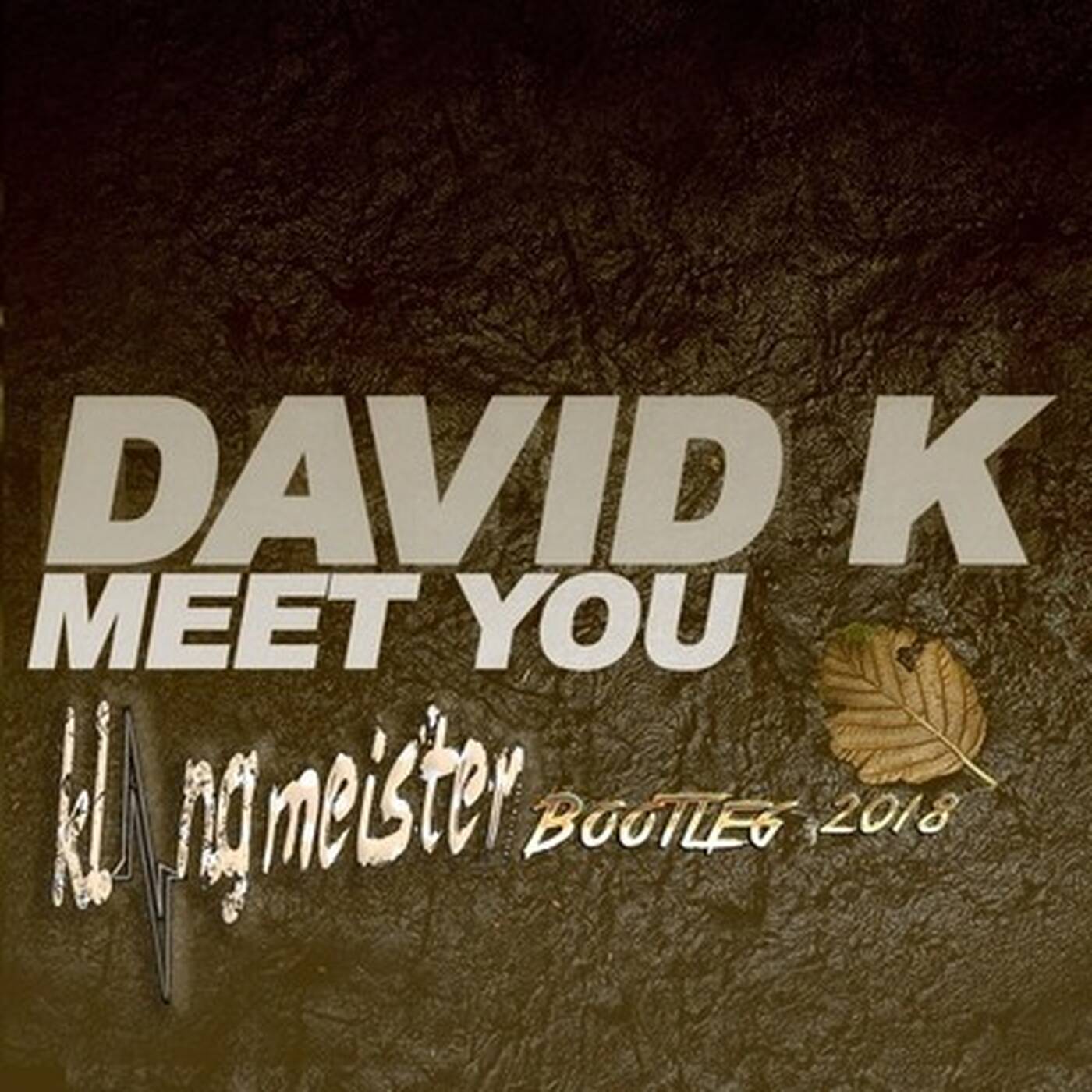 David K. - Meet you (klangmeister Bootleg 2018) episode artwork