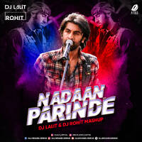 Nadaan Parinde (Mashup) - DJ Lalit &amp; DJ Rohit by All Indian DJs Drive