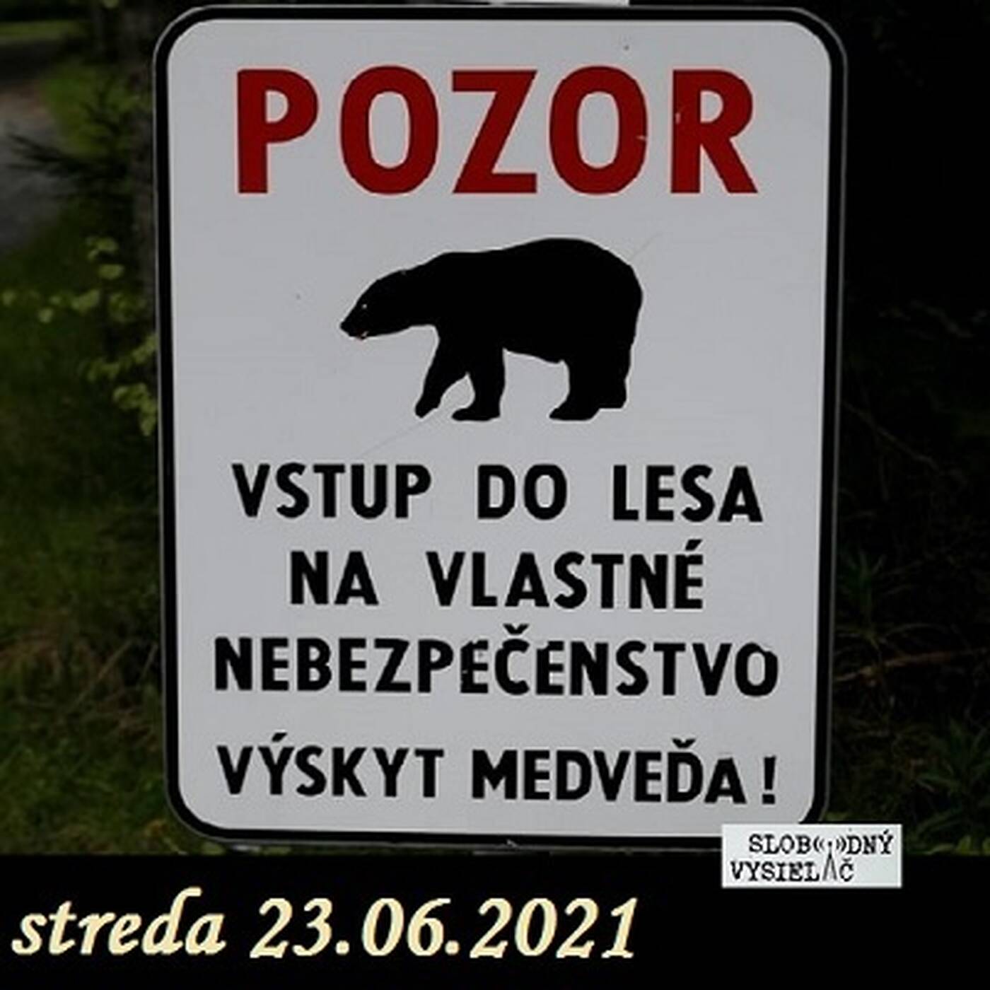 V prvej línii - 2021-06-23 Lebo medveď. episode artwork