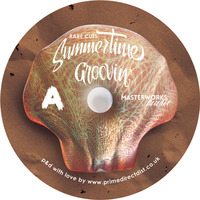 RARE CUTS - SUMMERTIME GROOVIN - 180g 12' black vinyl - Available Now!!!