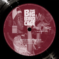 THE BIG BIRD CAGE - WATCH ME DANCE (Instant Groove Records) by The Big Bird Cage