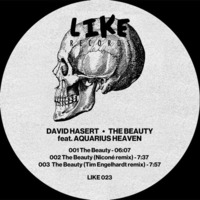 David Hasert - The Beauty feat. Aquarius Heaven (Niconé rmx) - LIKE023 Vinyl by David Hasert