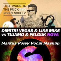 Robin Schulz vs Dimitri Vegas &amp; Like Mike - Prayer In Nova (Markus Poley Mashup) by Markus Poley
