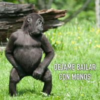 DEJAME BAILAR CON MONOS # by Carluz