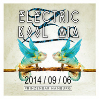 Electric Kool Aid DJ-Set (1st hour) @ Zoo Prinzenbar HH - 2014.09.06. by Electric Kool Aid