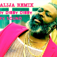 DJ Fresh VS Jay Fay Feat. Ms Dynamite  Dibby Dibby Dibby Funky Style  Dj Alija Remix by DJ Alija