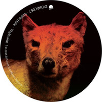 Eddie Hale - Thylacine EP (Different is Different Records)