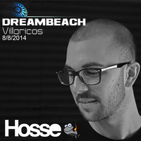 Live @ Dreambeach Festival (Villaricos, Spain) 8/8/2014 by Hosse