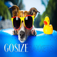 GOSIZE - Raxxets ( Original Mix ) Free Download Buy Buttom by Gosize