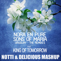 Nora En Pure &amp; Sons Of Maria ft King Of Tomorrow - Finally Uruguay (EDX vs Notti &amp; Delicious Mashup) by Giuseppe Notti