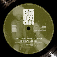 THE BIG BIRD CAGE - YOU MIGHT THINK I'M CRAZY (Grin Music) by The Big Bird Cage