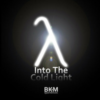 Into The Cold Light || Half-Life 2 Triage at Dawn Metal Remix by BKM