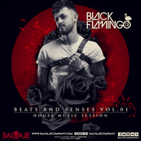 BEATS AND SENSES Vol.01 - House Music Session by Black Flamingo Dj