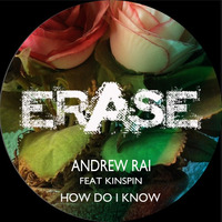 Andrew Rai Feat. Kinspin - How Do I Know (GRAY Remix) - No.56 #NUDISCO Beatport! by GRAY