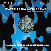 William Orbit - Water From A Vineleaf [Ryan Luciano Unofficial Remix] [Clip] by Ryan Luciano