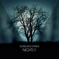 Aurelien Stireg - Nightly (original Mix) Work preview by Aurelien Stireg