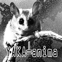 Y-A-02 by YAKA-anima (Sábila Orbe)