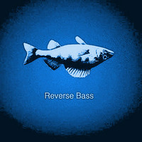 Durty Secondz pres. - Reverse-Bass Mix Vol.1 by FullRider