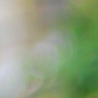 Lesego Kenneth Rammutla