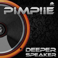 PIMPI!E - Deeper Speaker (Koen Groeneveld Remix) by .