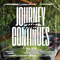 The Journey Continues XLVII by TOVI