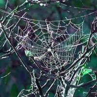 Chrominance incertaine by Gérard Delassus