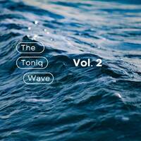 The Toniq Wave Vol. 2 by Soultoniq